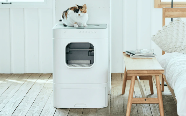 LavvieBot猫咪洗手间设计公司;怡美设计
