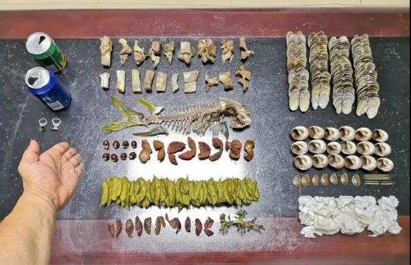 垃圾分类应用;怡美工业设计 垃圾分类应用;怡美工业设计