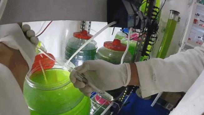 微藻空气净化器设计研发;怡美工业设计 微藻空气净化器设计研发;怡美工业设计
