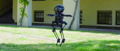 行走、飞行二合一的双足机器人