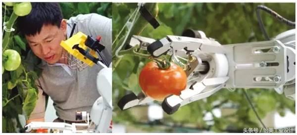 工业机器人“当家作主”，食品加工自动化成趋势？