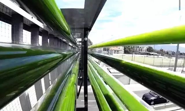 微藻空气净化器结构设计;怡美工业设计